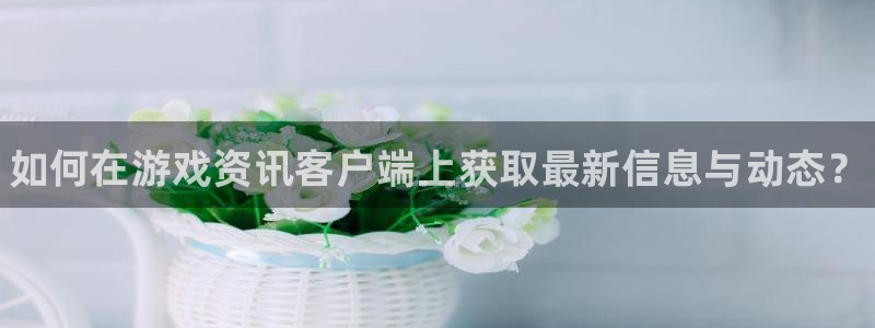 蓝冠娱乐手机网页版登录：如何在游戏资讯客户端上获取最新信息与