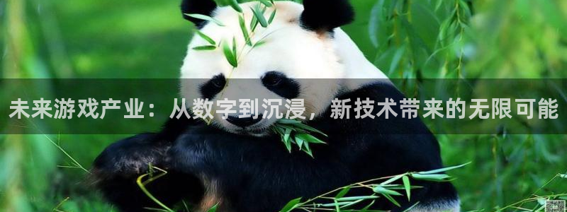 蓝冠娱乐：未来游戏产业：从数字到沉浸，新技术带来的无限可能