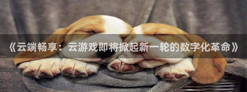 蓝冠娱乐：《云端畅享：云游戏即将掀起新一轮的数字化革命》