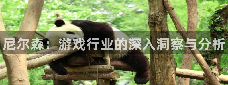 蓝冠娱乐app下载|下载地址：尼尔森：游戏行业的深入洞察与分