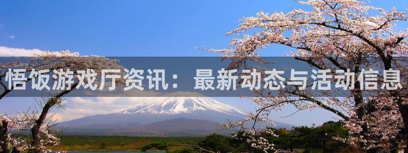 蓝冠娱乐集团：悟饭游戏厅资讯：最新动态与活动信息
