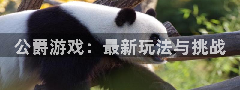 蓝冠娱乐注册登录：公爵游戏：最新玩法与挑战