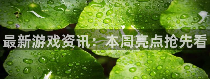 蓝冠娱乐咨询：最新游戏资讯：本周亮点抢先看