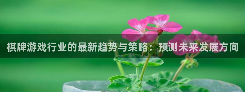 蓝冠娱乐官网登录：棋牌游戏行业的最新趋势与策略：预测未来发展