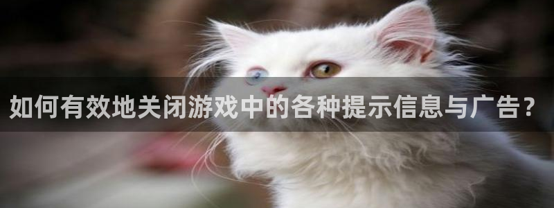 蓝冠娱乐平台登录线路：如何有效地关闭游戏中的各种提示信息与广