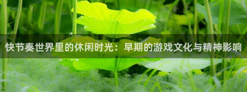 蓝冠机电